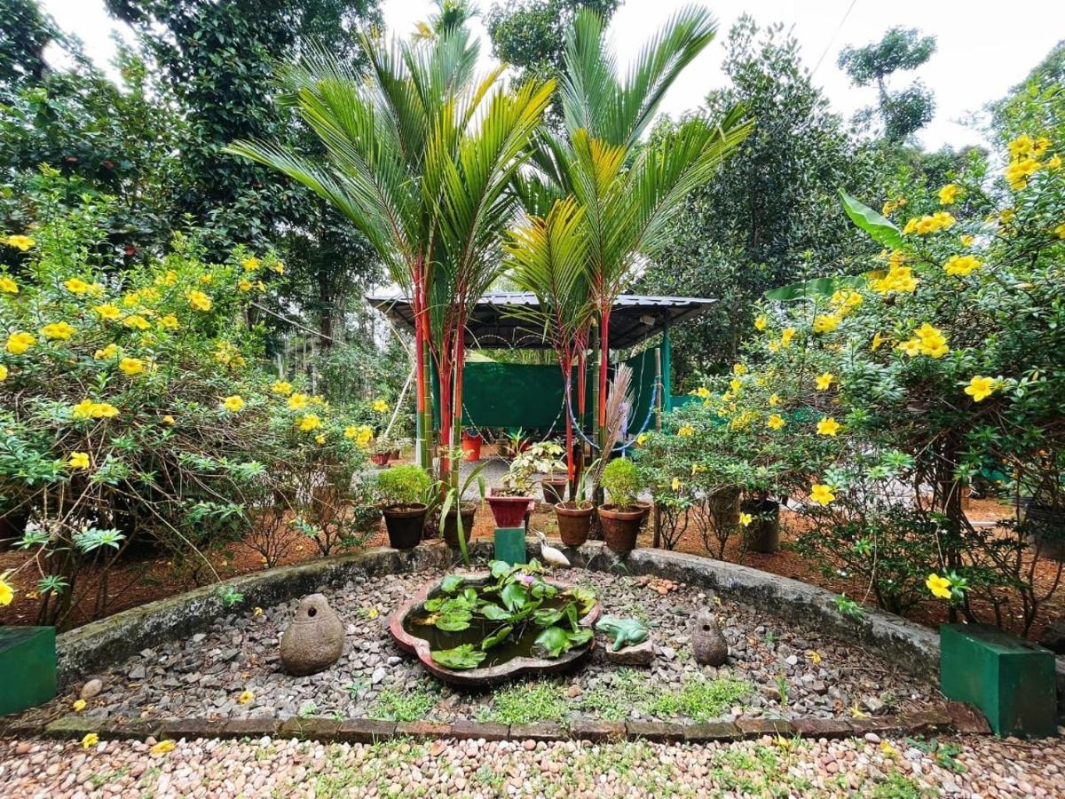 Kuttickattil Gardens Homestay Kottayam Buitenkant foto