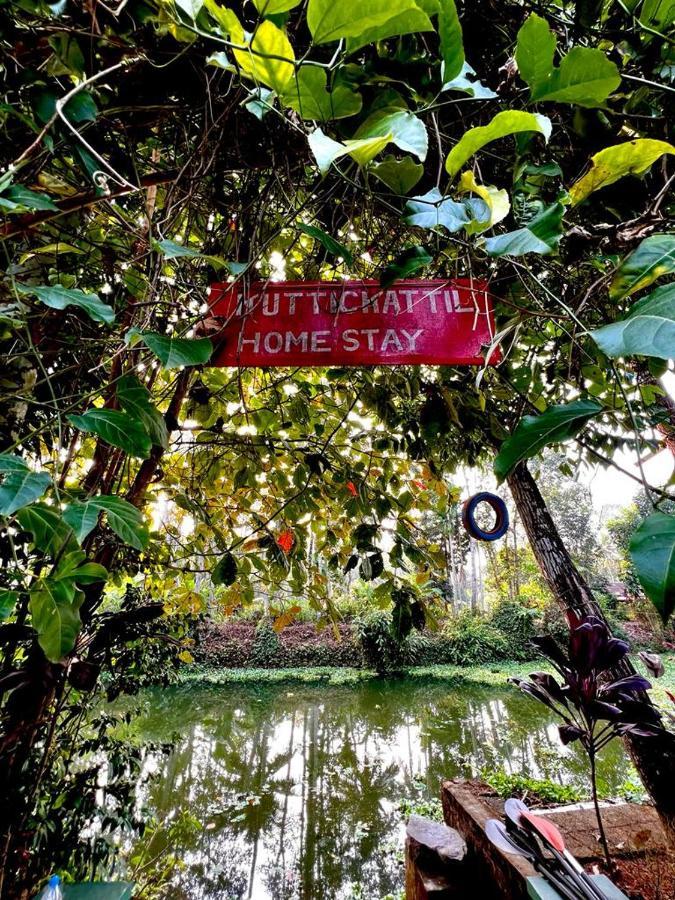 Kuttickattil Gardens Homestay Kottayam Buitenkant foto