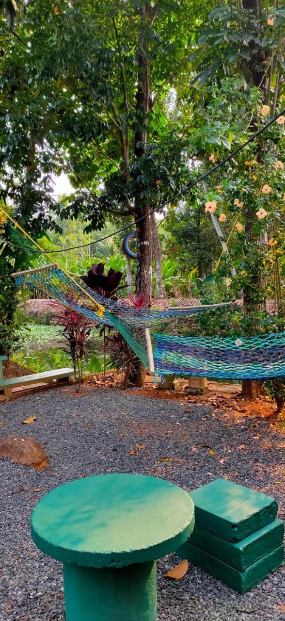 Kuttickattil Gardens Homestay Kottayam Buitenkant foto