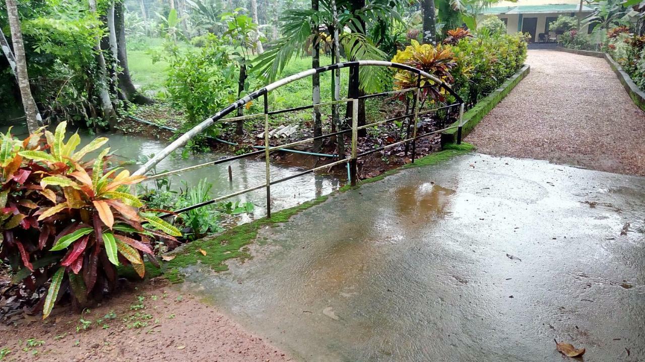 Kuttickattil Gardens Homestay Kottayam Buitenkant foto